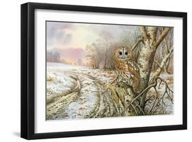 Tawny Owl-Carl Donner-Framed Giclee Print