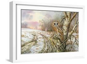 Tawny Owl-Carl Donner-Framed Giclee Print