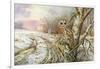 Tawny Owl-Carl Donner-Framed Giclee Print