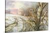 Tawny Owl-Carl Donner-Stretched Canvas