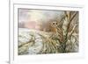 Tawny Owl-Carl Donner-Framed Giclee Print