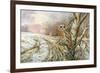 Tawny Owl-Carl Donner-Framed Giclee Print