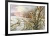 Tawny Owl-Carl Donner-Framed Giclee Print