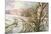 Tawny Owl-Carl Donner-Mounted Giclee Print