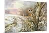 Tawny Owl-Carl Donner-Mounted Premium Giclee Print
