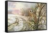 Tawny Owl-Carl Donner-Framed Stretched Canvas