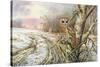 Tawny Owl-Carl Donner-Stretched Canvas