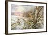 Tawny Owl-Carl Donner-Framed Giclee Print