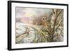 Tawny Owl-Carl Donner-Framed Giclee Print