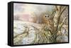 Tawny Owl-Carl Donner-Framed Stretched Canvas