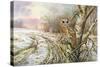 Tawny Owl-Carl Donner-Stretched Canvas