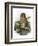 Tawny Owl-English-Framed Giclee Print