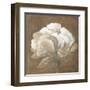 Tawny Peony-Rich Wilder-Framed Art Print