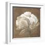 Tawny Peony-Rich Wilder-Framed Art Print