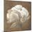 Tawny Peony-Rich Wilder-Mounted Art Print