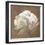 Tawny Peony-Rich Wilder-Framed Premium Giclee Print