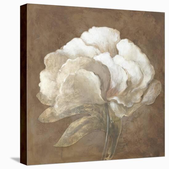 Tawny Peony-Rich Wilder-Stretched Canvas