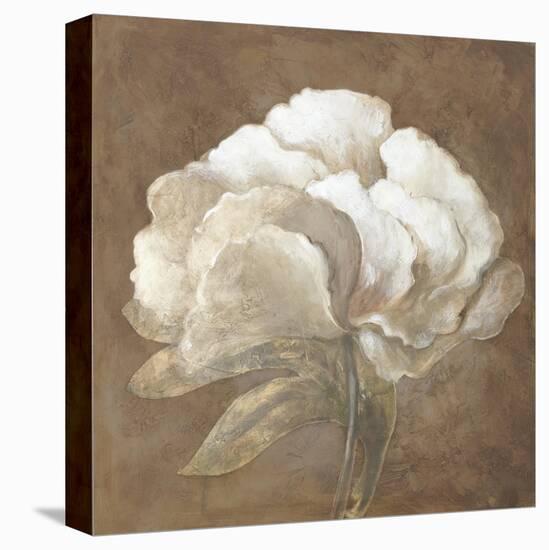 Tawny Peony-Rich Wilder-Stretched Canvas