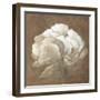 Tawny Peony-Rich Wilder-Framed Art Print