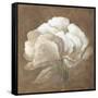 Tawny Peony-Rich Wilder-Framed Stretched Canvas