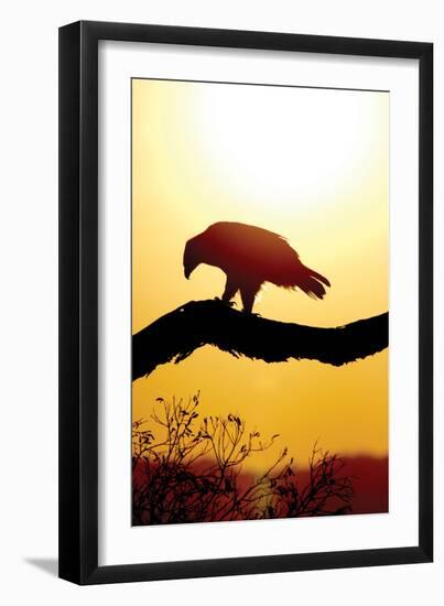 Tawny Sunrise-Susann Parker-Framed Photographic Print