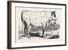 Tax Butchery Paris, Division by Categories of Beef, France-null-Framed Giclee Print