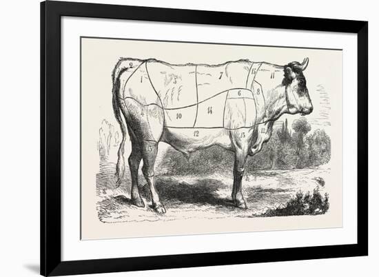 Tax Butchery Paris, Division by Categories of Beef, France-null-Framed Giclee Print