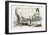 Tax Butchery Paris, Division by Categories of Beef, France-null-Framed Giclee Print