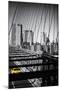 Taxi Cabs - Brooklyn Bridge - Yellow Cabs - Manhattan - New York City - United States-Philippe Hugonnard-Mounted Premium Photographic Print