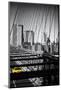 Taxi Cabs - Brooklyn Bridge - Yellow Cabs - Manhattan - New York City - United States-Philippe Hugonnard-Mounted Premium Photographic Print