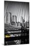 Taxi Cabs - Brooklyn Bridge - Yellow Cabs - Manhattan - New York City - United States-Philippe Hugonnard-Mounted Premium Photographic Print