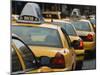 Taxi Cabs, Manhattan, New York City, New York, United States of America, North America-Amanda Hall-Mounted Photographic Print