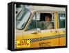 Taxi Driver, Robert De Niro, 1976-null-Framed Stretched Canvas