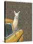 Taxi Llama-Jason Ratliff-Stretched Canvas