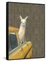 Taxi Llama-Jason Ratliff-Framed Stretched Canvas