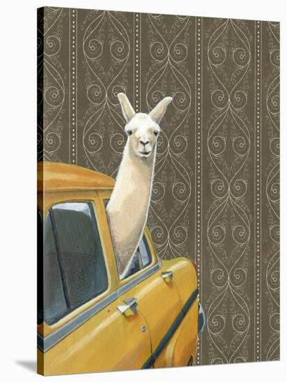 Taxi Llama-Jason Ratliff-Stretched Canvas