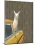 Taxi Llama-Jason Ratliff-Mounted Premium Giclee Print