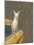 Taxi Llama-Jason Ratliff-Mounted Giclee Print
