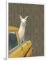 Taxi Llama-Jason Ratliff-Framed Giclee Print