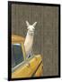 Taxi Llama-Jason Ratliff-Framed Giclee Print