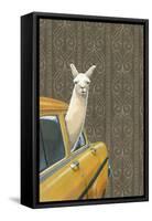 Taxi Llama-Jason Ratliff-Framed Stretched Canvas