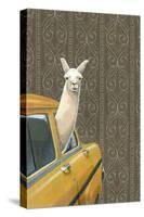 Taxi Llama-Jason Ratliff-Stretched Canvas