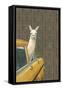 Taxi Llama-Jason Ratliff-Framed Stretched Canvas