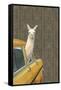 Taxi Llama-Jason Ratliff-Framed Stretched Canvas