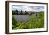 Tay Bridge, Dunkeld, Perthshire, Scotland-Peter Thompson-Framed Photographic Print