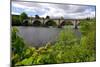 Tay Bridge, Dunkeld, Perthshire, Scotland-Peter Thompson-Mounted Photographic Print