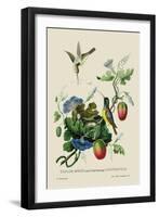 Taylor Birds and Fruit Bearing Convolvuls-J. Forbes-Framed Art Print