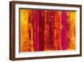 Brown Frame