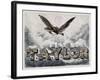 Taylor's Victories-null-Framed Giclee Print