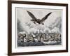 Taylor's Victories-null-Framed Giclee Print